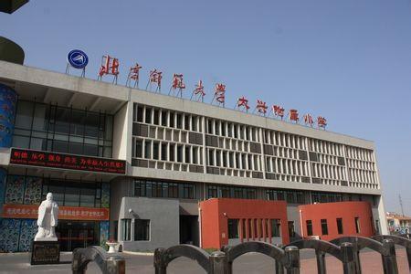 北京市师范大学实验小学(北师大附小)相册