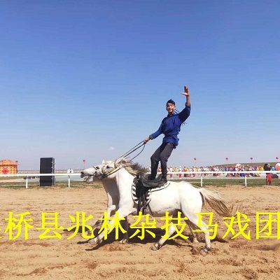 开封大型的马戏团表演_吴桥县兆林杂技马戏团