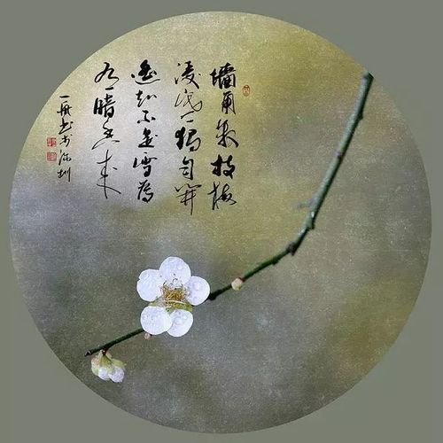 翠色招相对,梅花杳不还.高楼断远山,一井白云閒.