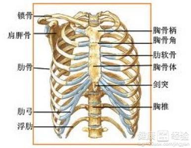 肋软骨炎的病因有哪些