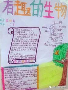 备战生地会考手抄报 第1页