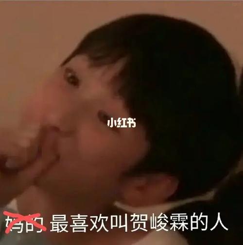 最近沉迷于94 #严浩翔 #贺峻霖 #翔霖_严浩翔_贺峻霖_翔霖_娱乐