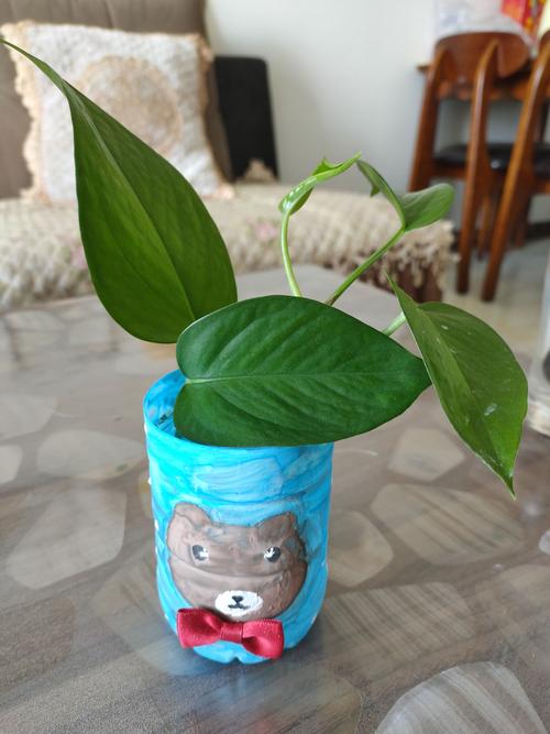 矿泉水瓶子废物利用变小熊花瓶