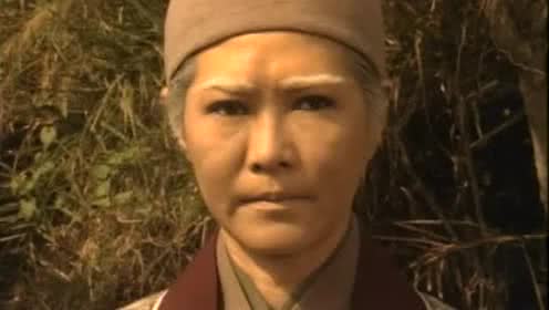 《洪熙官》五枚师太传授咏春二字钳羊马,蛇鹤相争拳!