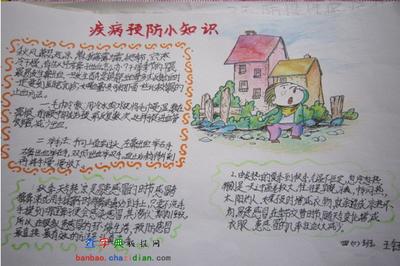 预防禽流感宣传手抄报预防禽流感手抄报