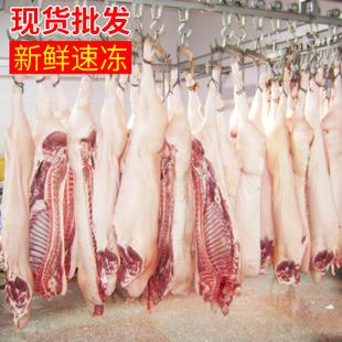 大量销售 优质冷冻分割猪肉 冻猪肉带皮五花肉 精制精肉五花肉