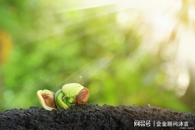 十大人间奢侈品生命的觉悟