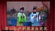 庐剧《孟丽君》第二本3 昂小红庐剧团演出