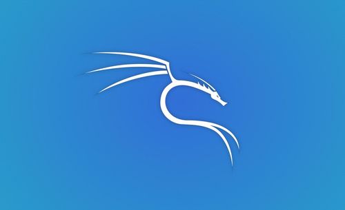 kali linux的安装与初体验