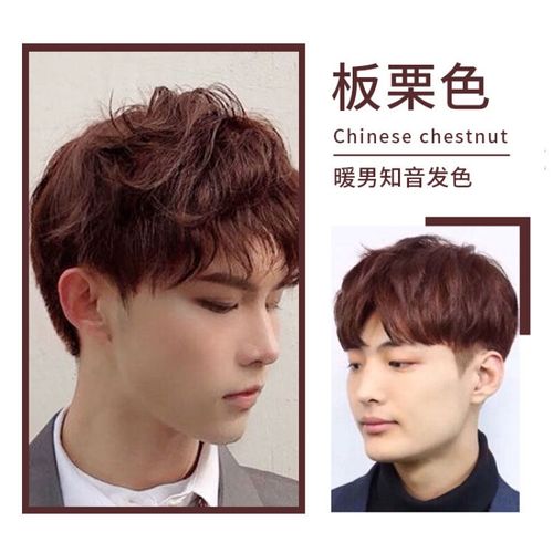 男士染发剂彩色自己在家染学生潮色黑色2020流行色wroda 黑茶色【可盖