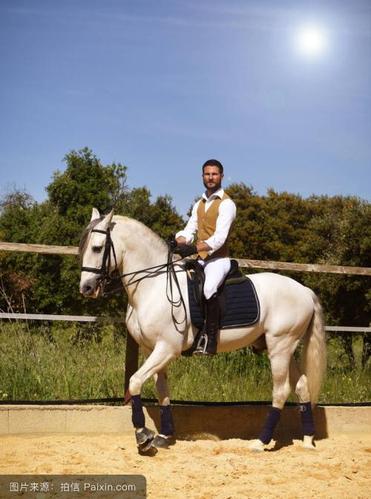 [图]人骑人图片骑人视频骑人背