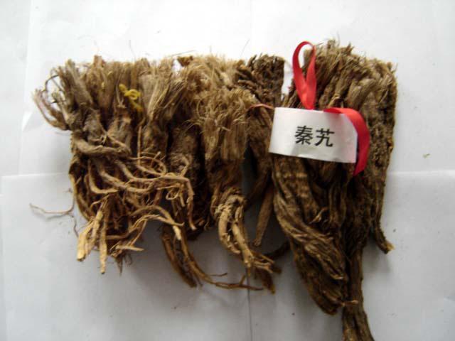 一些你必须要掌握的秦艽知识!