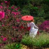 低头闻花香的女孩头像