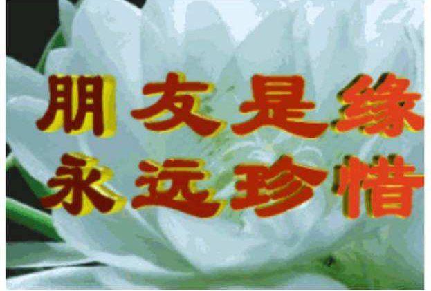 今天和你爸妈斗表情包了吗?_父母