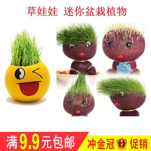 长草娃娃批发 草头迷你种植物盆栽男孩女生儿童创意可爱生日礼物商品