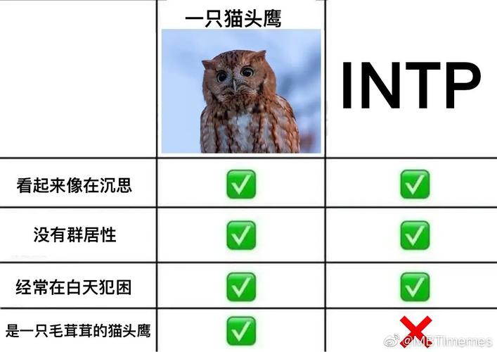 长期更新mbti的meme梗图