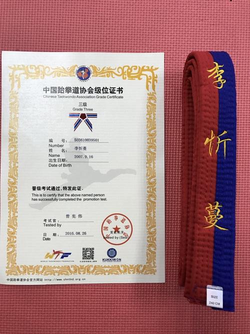 跆拳道又晋级了