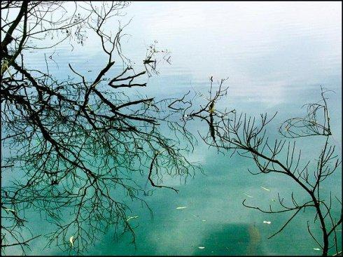 清化河风景