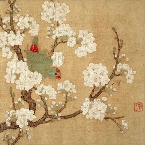 春日知识帖跟着古画赏花识花辨花