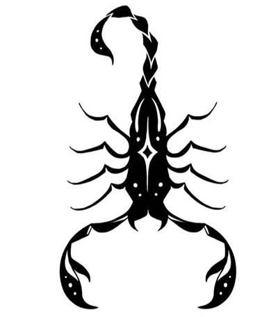 27张黑白蝎子纹身手稿素材图片
