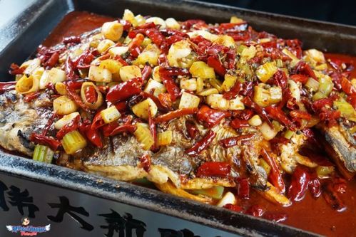 东北烤鱼一哥又开新店最低38折嗨吃
