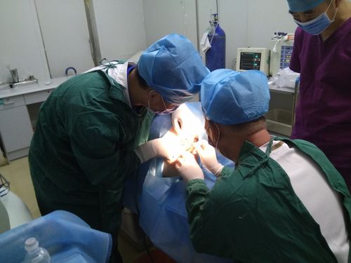 她换药抽取纱条后13934255505 术中只是一次性电刀处理外口至内口肛瘘