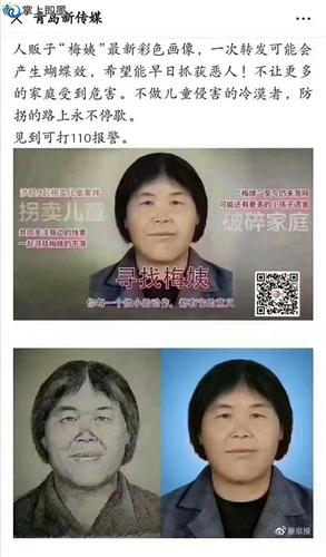 人贩子梅姨最新彩色画像,转发!