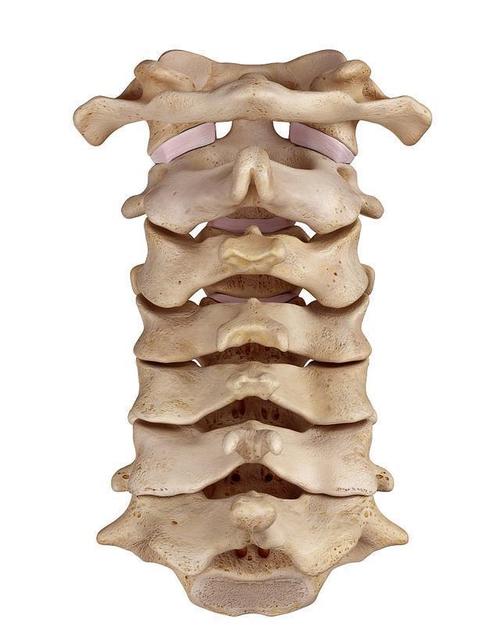 颈椎病为何总反反复复?脊椎病专家告诉你真相!