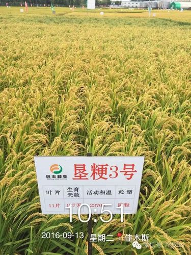 热烈欢迎桦南,富锦,同江,红卫农场,七星农场,新华农场,二九零农场