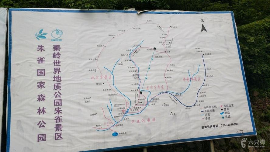 朱雀森林公园4