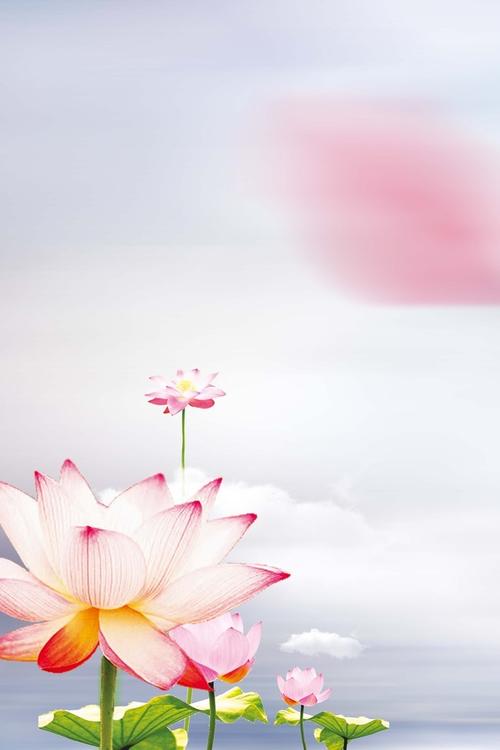 搜图123提供独家原创荷花海报背景素材下载,此素材图片已被下载1次,被