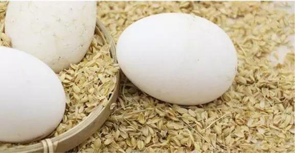 鸡蛋,鸭蛋,鹅蛋,鹌鹑蛋,鸽子蛋,给宝宝吃哪个营养最高?