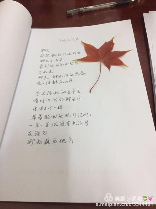 绘本分享《一片叶子落下来》