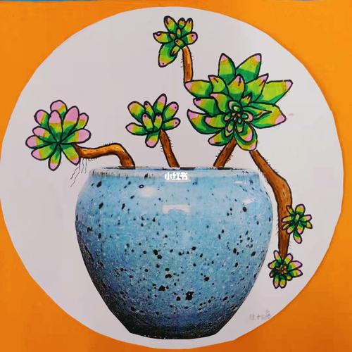 多肉盆栽～涂色练习_多肉植物_盆栽_儿童画_文化_绘画