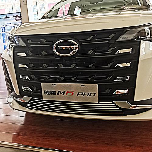2021款广汽传祺gm6改装件m6pro专用m6装饰中网外观前脸亮条配件
