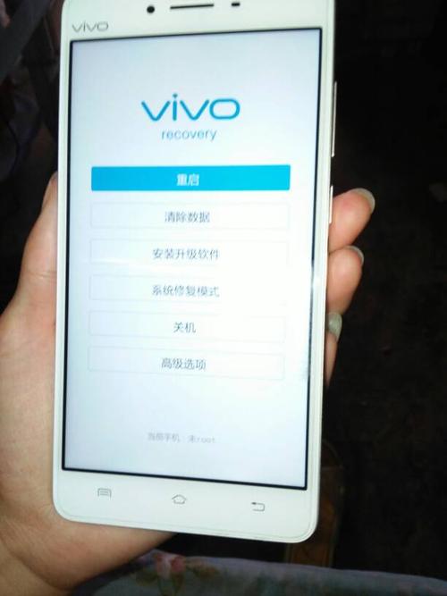 谁知道vivo手机怎么刷机我用百度的方法双清模式只有清除数据但没有