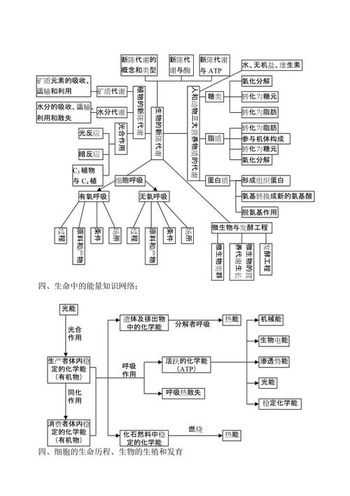 高中生物知识体系框架图