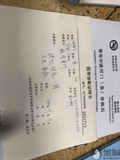 黑猫投诉美团机票本人身体原因不能起飞