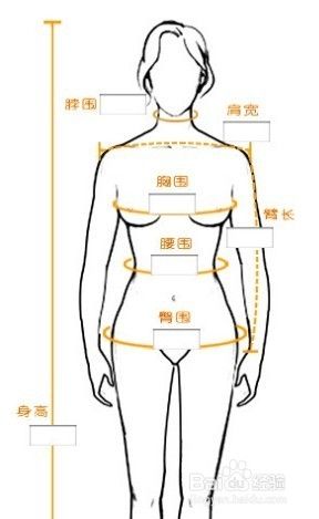 五种女性职业装尺寸测量方法