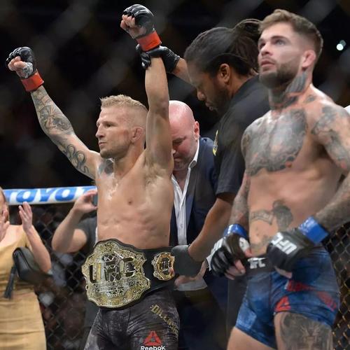 tj-迪拉肖(tj dillashaw)第一回合4分10秒tko老对手科迪-加布兰特