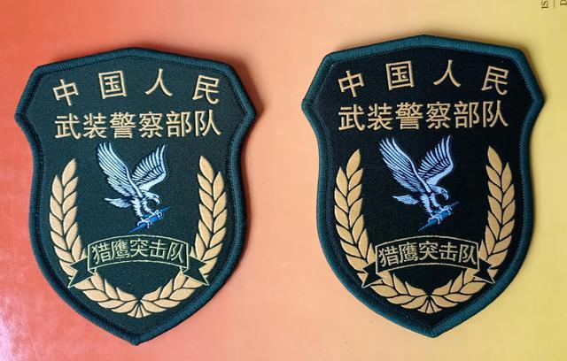 毛启国神奇的武警07式猎鹰臂章