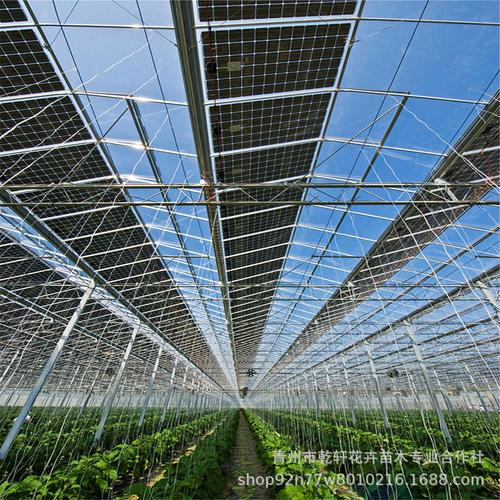 智能光伏温室建设 光伏太阳能 光伏温室大棚厂家直销