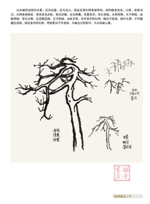 正版现货国画技法入门一学就会松树画法书法国画技法工具书国画基础