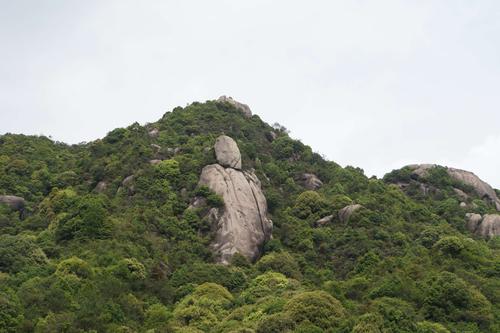 偶遇山野茶人～诏安乌山-龙床石-随记