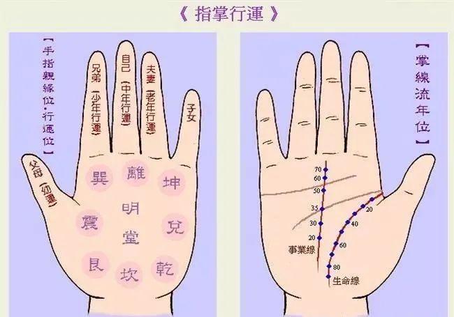 手相三大凶纹生命线断开抵抗力差