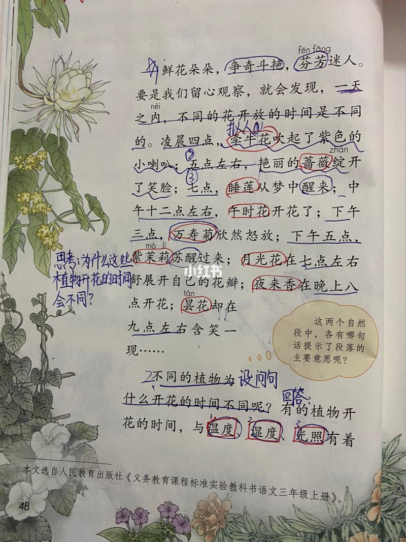 三年级下册第十三课《花钟》课堂笔记_教育_小学教育
