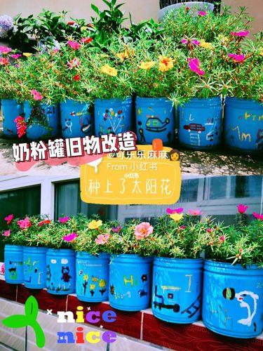 奶粉罐旧物改造——治愈系花盆_花盆_油漆_涂鸦_治愈系_种花_北京攻略