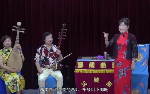 宁波走书平阳传沈健丽