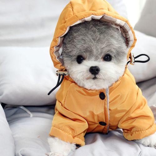 热销狗衣服小型犬 泰迪 保暖