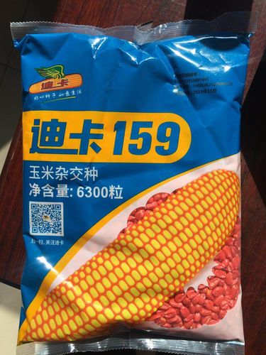 国际大品牌玉米种子迪卡159